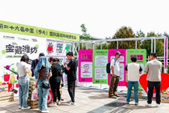 風(fēng)箏為引，“放風(fēng)”造勢！「山東DOU是好風(fēng)光·寶藏濰坊」煥新商家生意經(jīng)